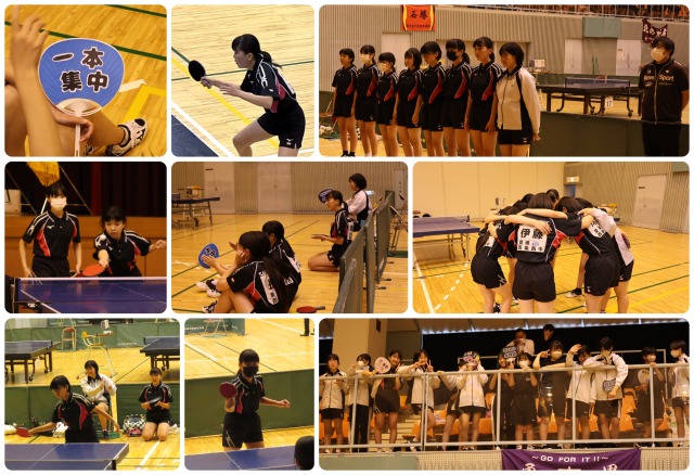 BeFunky-project卓球