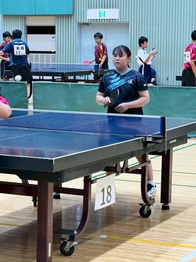 ECVB8973