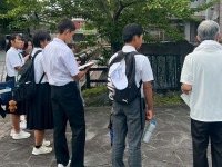 POLG8217