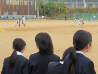 IMG_7976 - コピー